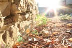 Volutamente controluce...
