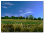 il borgo .
