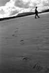 impronte