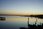 alba