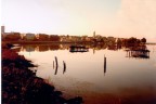 lesina