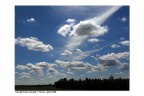 Polesine