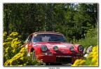 rally storico