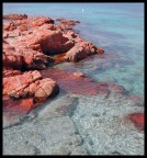 Corsica