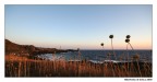 Faro al tramonto