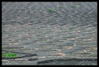 La Geria (Lanzarote)
