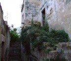 Vico  Veneziani