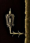 HRD_Lume