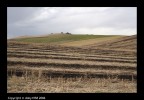 campagna pugliese