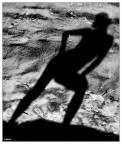 Shadow Model