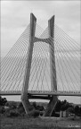 ponte