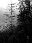 valle stregata