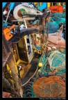 Fishing colors