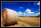 Balle di fieno 1 Balle di fieno 1