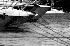 Porto Cervo
Suggerimenti e critiche indispensabili!