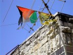 palestina lacerata