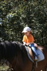 A cavallo