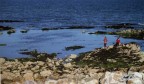 bimbi che giocano e corrono sulle scogliere irlandesi di Howth