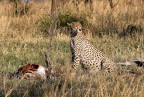Tanzania 2006