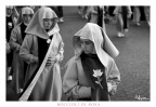 Boccioli di Rosa