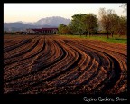 Cascina Cavallera, Oreno