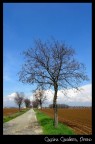 cascina cavallera, oreno