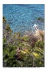 Voglia di mare