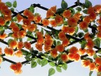 A Casorate Sempione (VA) in questi c' la festa di S.Tito (si celebra ogni 10 anni). Per l'occasione la citt viene invasa da questi fiori in plastica fatti a mano dagli stessi abitanti.

Suggerimenti e critiche sempre ben accetti.