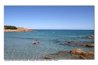 eravamo quattro amici al mar.....