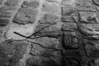la fragilit di un fumatore