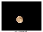 The Moon