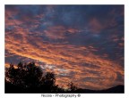 Alba Crespa