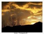 Alba Dorata