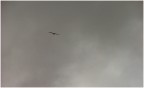 Fuji S5000