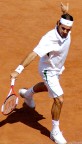 federer