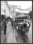 Innsbruck - Agosto '04

Canon PowerShot A75
