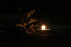 fuoco