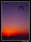 Kite