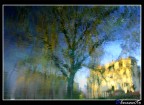 Riflessi
