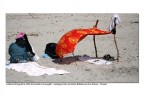 Ingegneria da spiaggia