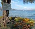natura d'estate