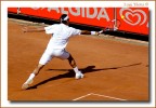 federer 2