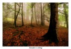 Autumn is coming