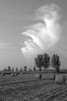 Balle di fieno - Campagna di Castelleone