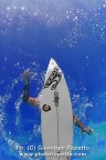 Surf