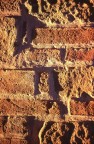 Muro