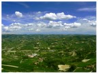 le vigne