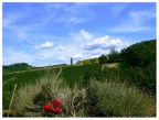 piemonte classico