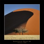 La zona centrale del deserto del Namib: un classico da cartolina.