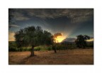 Hdr No3